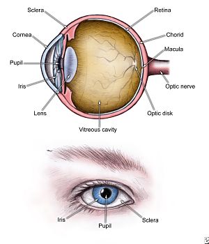 Labelled Eye Diagram
